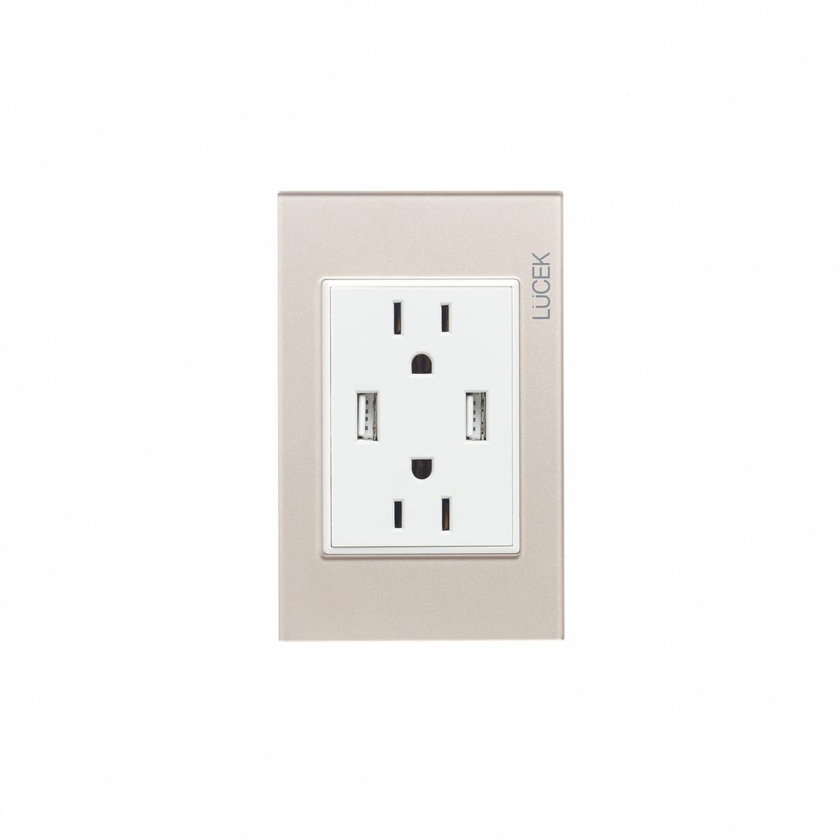 Placa cristal con 2 contacto duplex y 2 entradas de USB BP25CDM-LUCEK