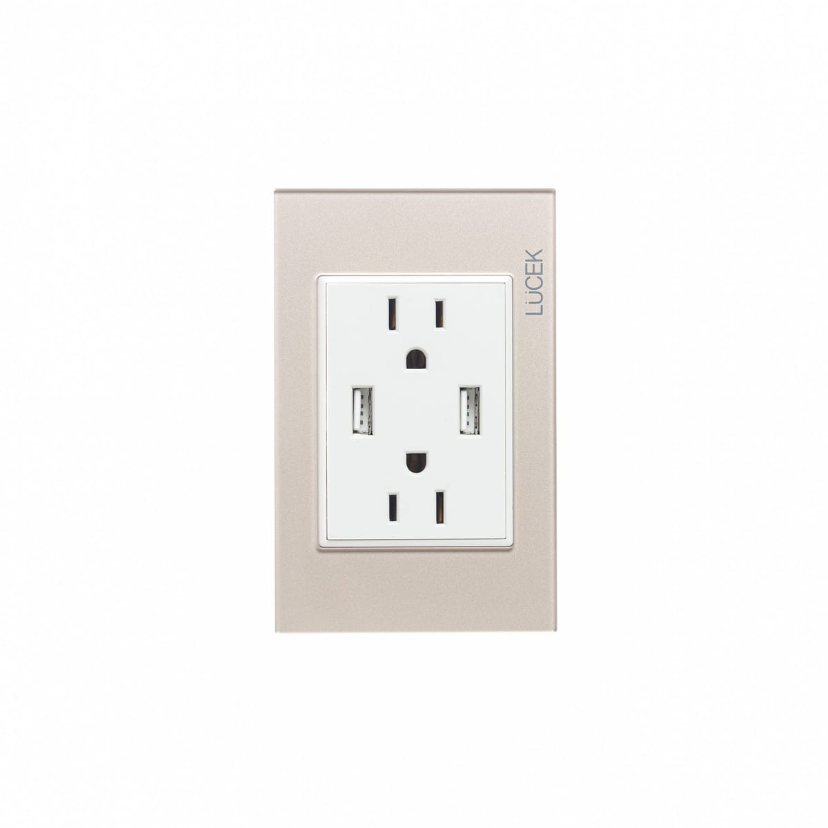 Placa cristal con 2 contacto duplex y 2 entradas de USB BP25CDM-LUCEK