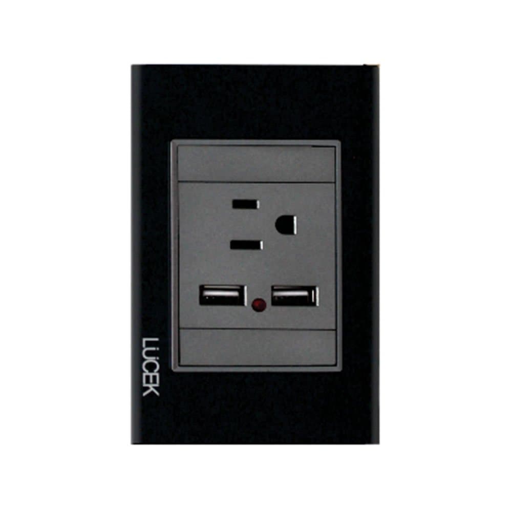 Placa cristal con 1 contacto y 2 entradas USB BP05CNN - LUCEK
